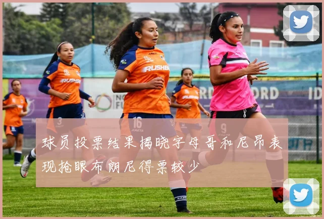 球员投票结果揭晓字母哥和尼昂表现抢眼布朗尼得票较少