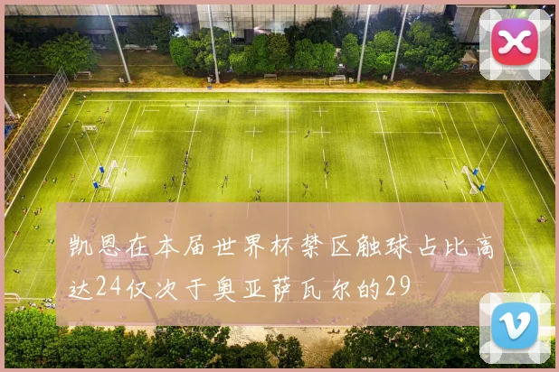 凯恩在本届世界杯禁区触球占比高达24仅次于奥亚萨瓦尔的29