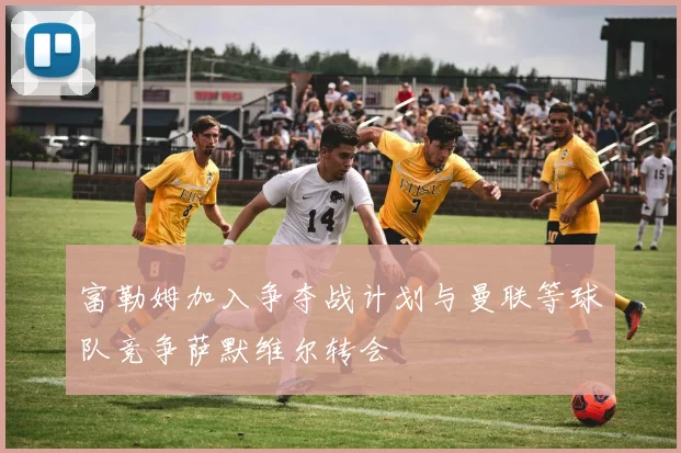 富勒姆加入争夺战计划与曼联等球队竞争萨默维尔转会